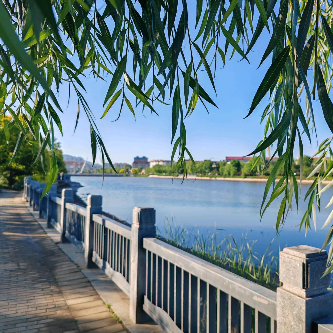 清晨的微风
