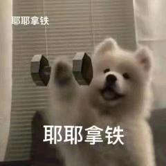 增肌困难多