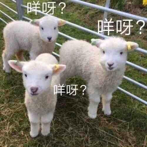 山雨欲来