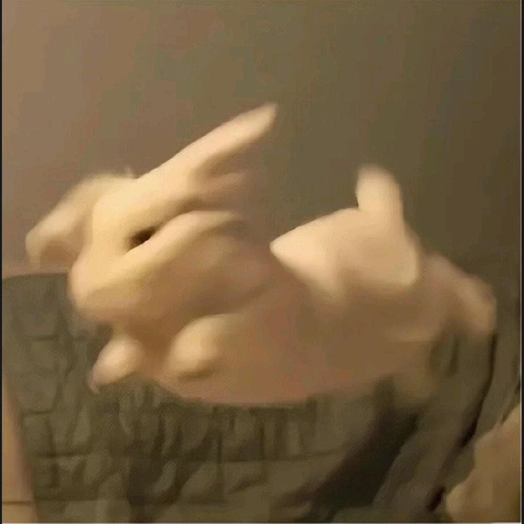 爬爬老大