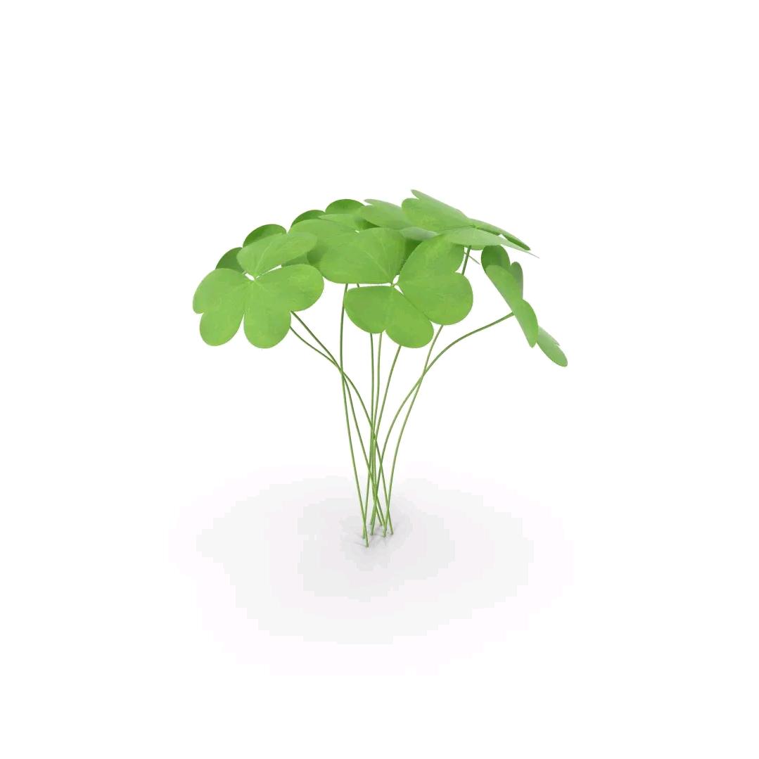 糖悦坊