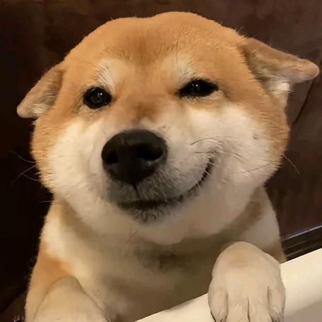 旺财推文