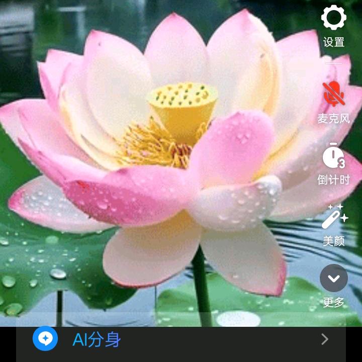 妮@妮