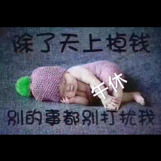 晓飛