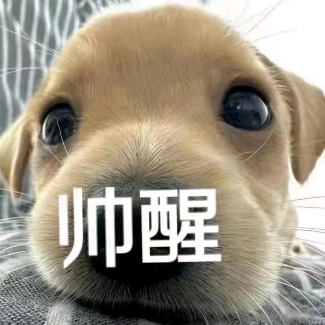 • ֊ •