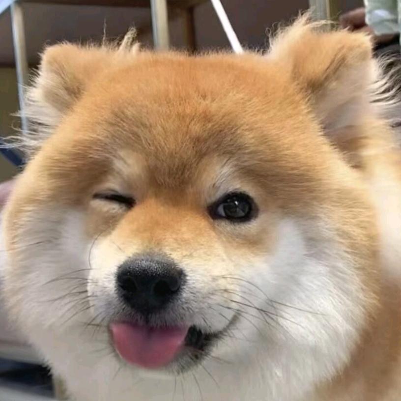 不爱刷抖音