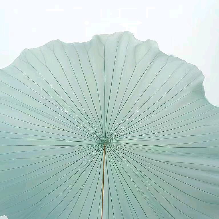 盼盼哥