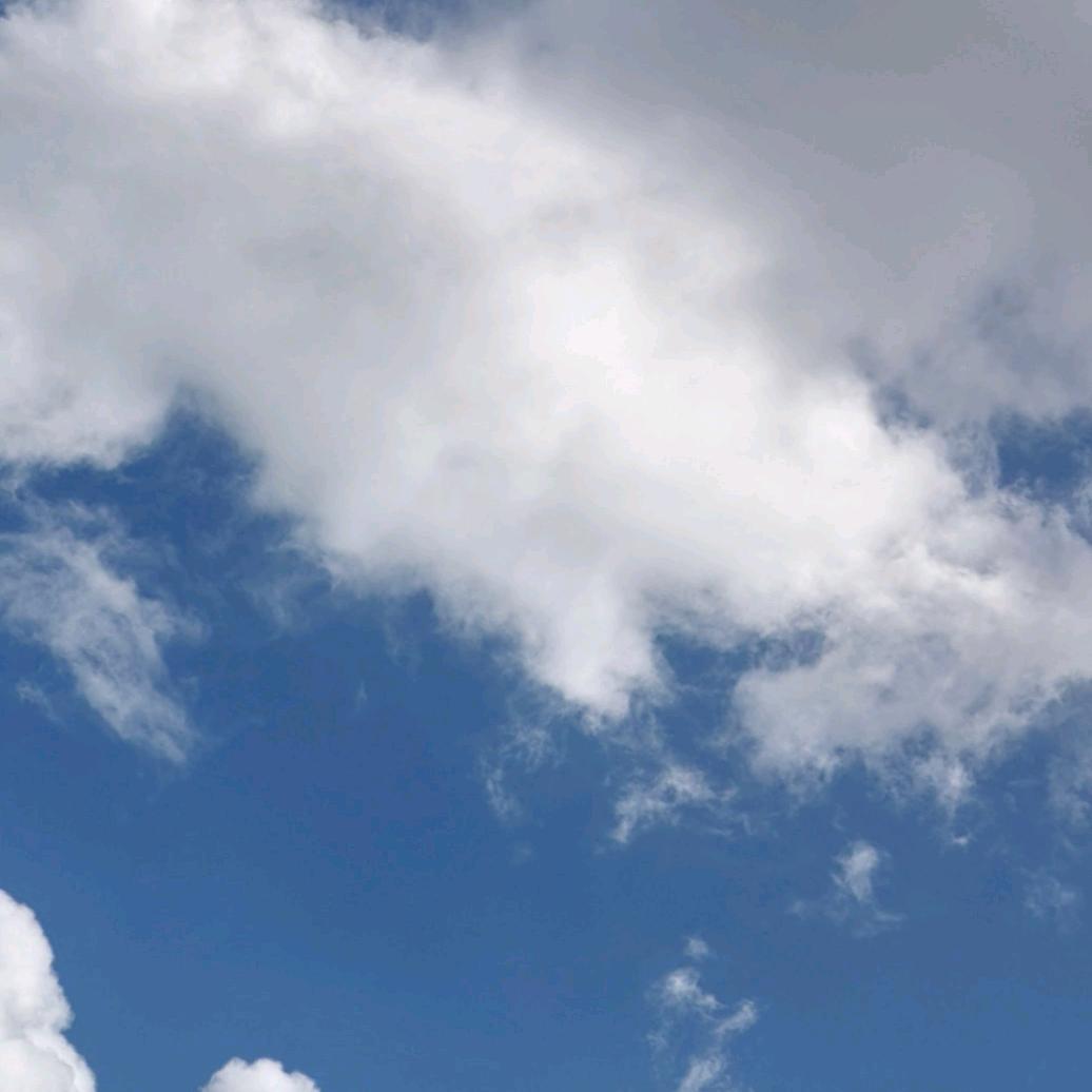 七秒໊記⃨憶᭄এ