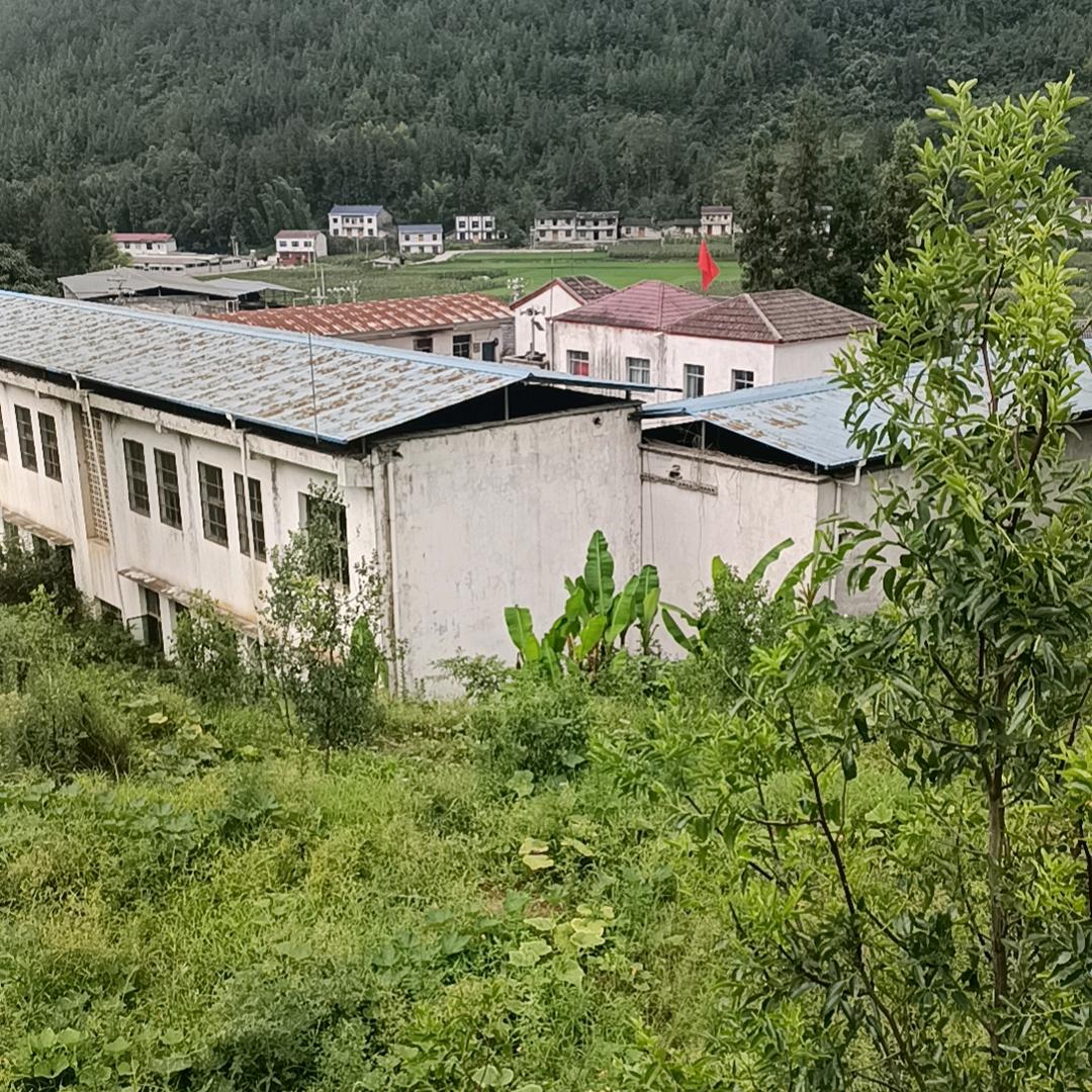 余生过好每一天