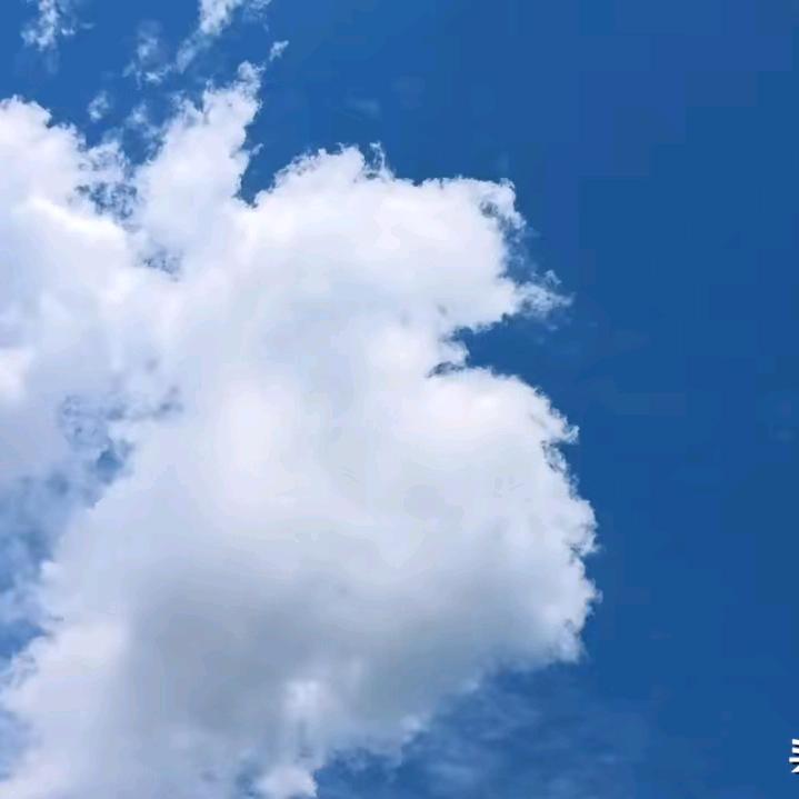 灵宝牛职工作网（收徒）