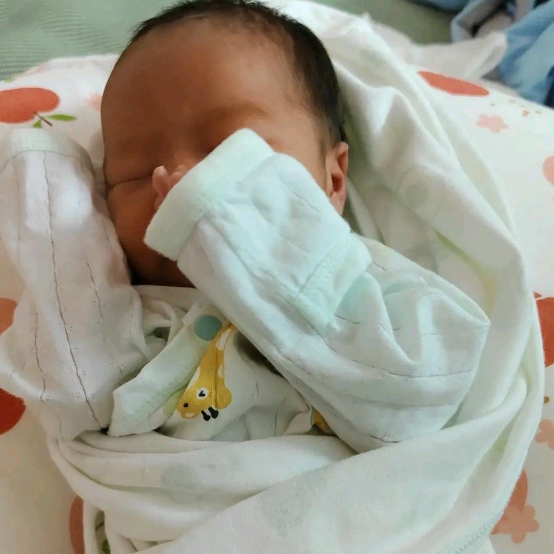 硕寶麻麻