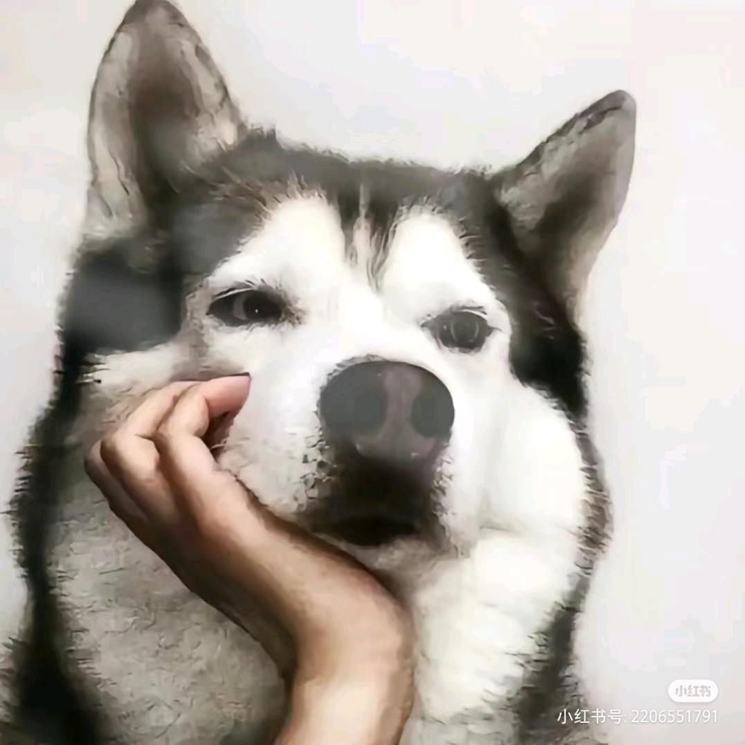 我想下课🙉🙉🙉