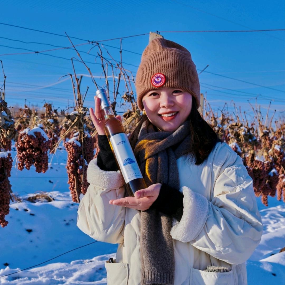 桓仁冰枫诗扬酒庄