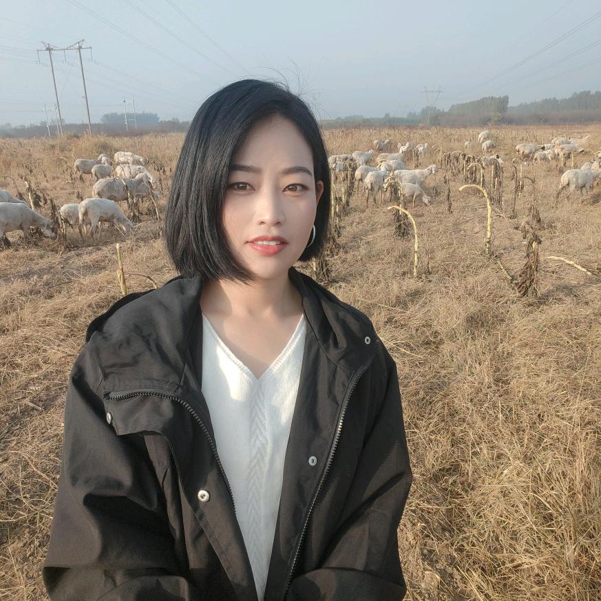 放羊的姑娘