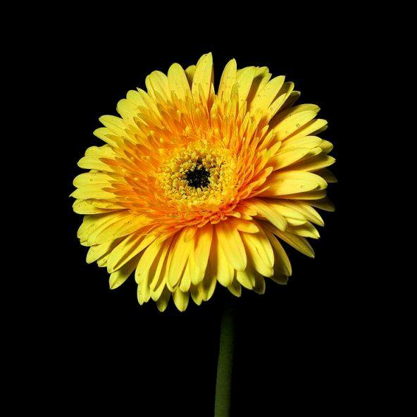 重剑无锋（主号）