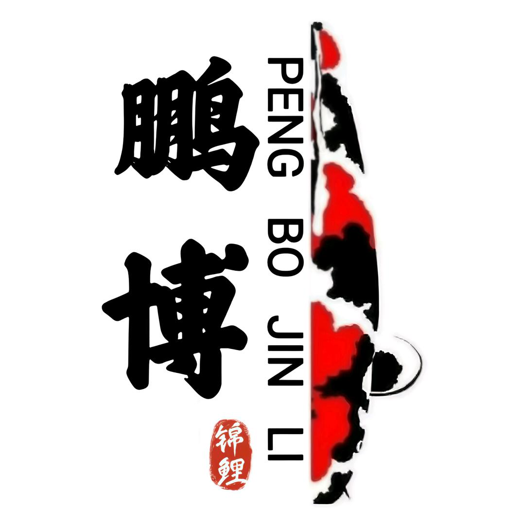 鹏博锦鲤