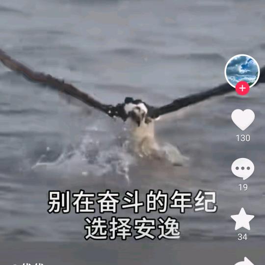 @孤军奋战
