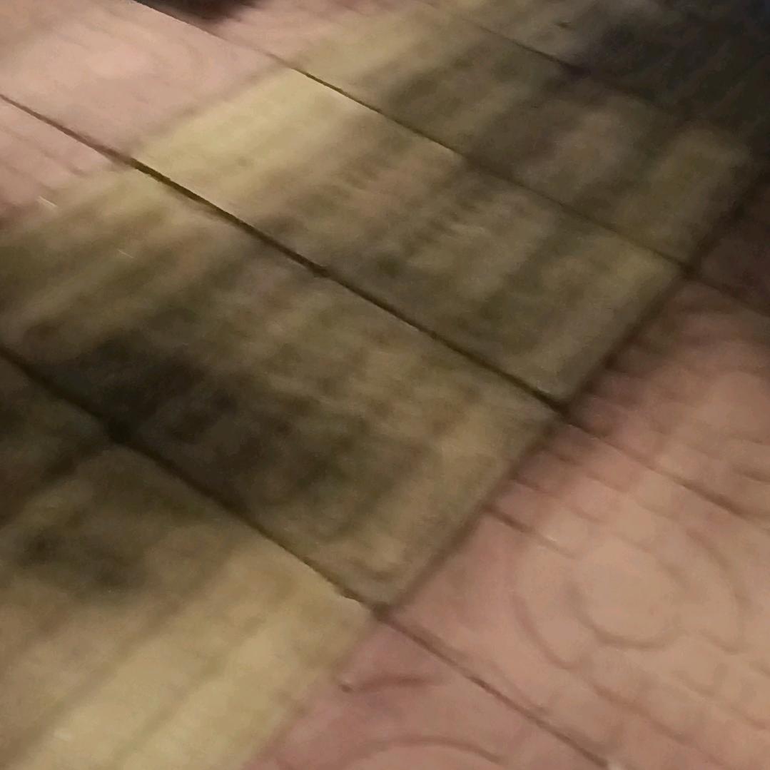 wdgk