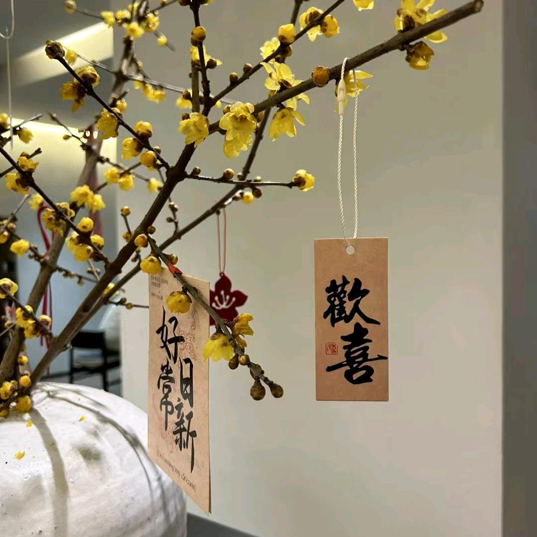 大明湖畔的夏雨荷