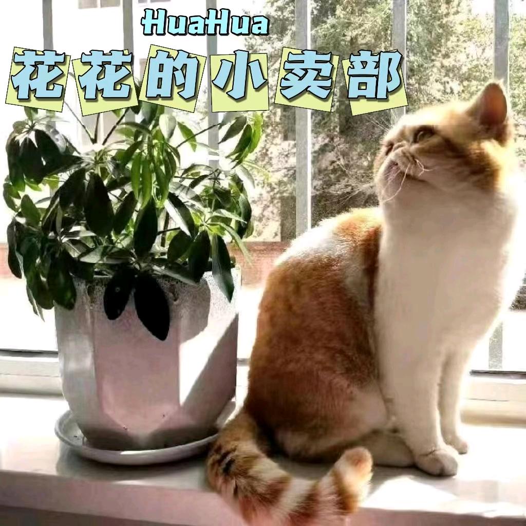 花花的小卖铺
