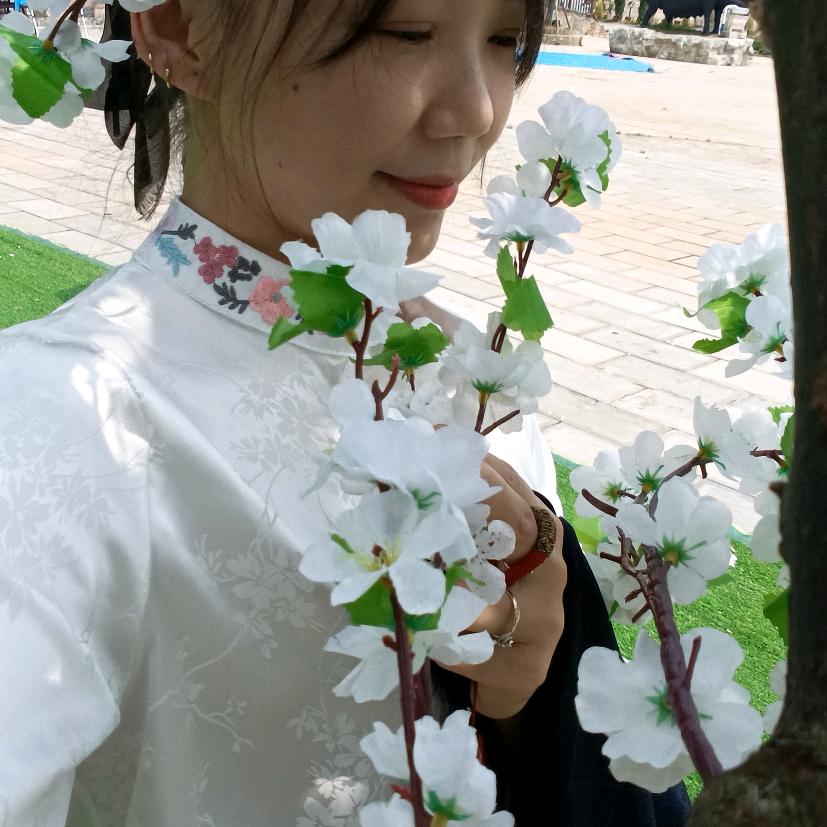 (*Ő吉祥如意Ő*)