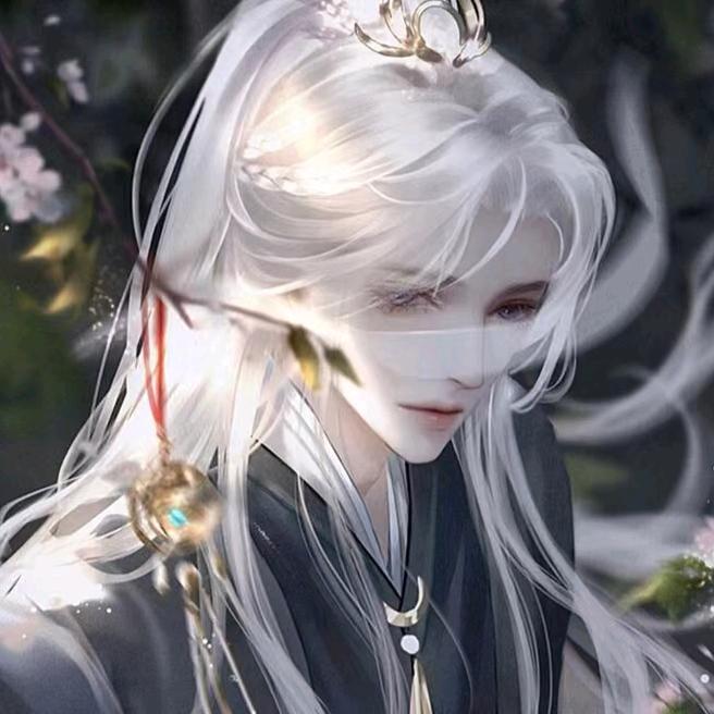 黑宝