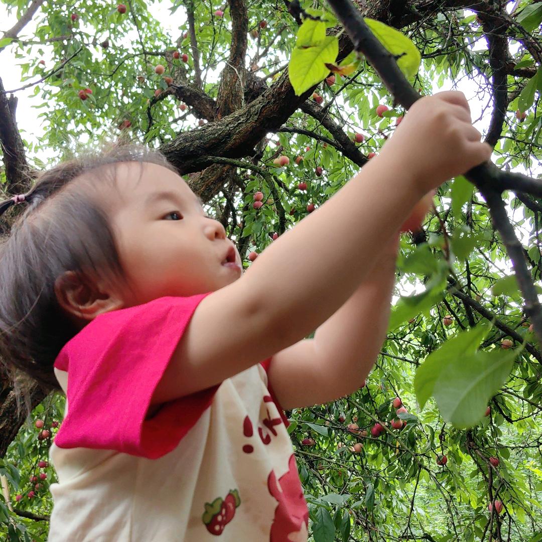 小小舒