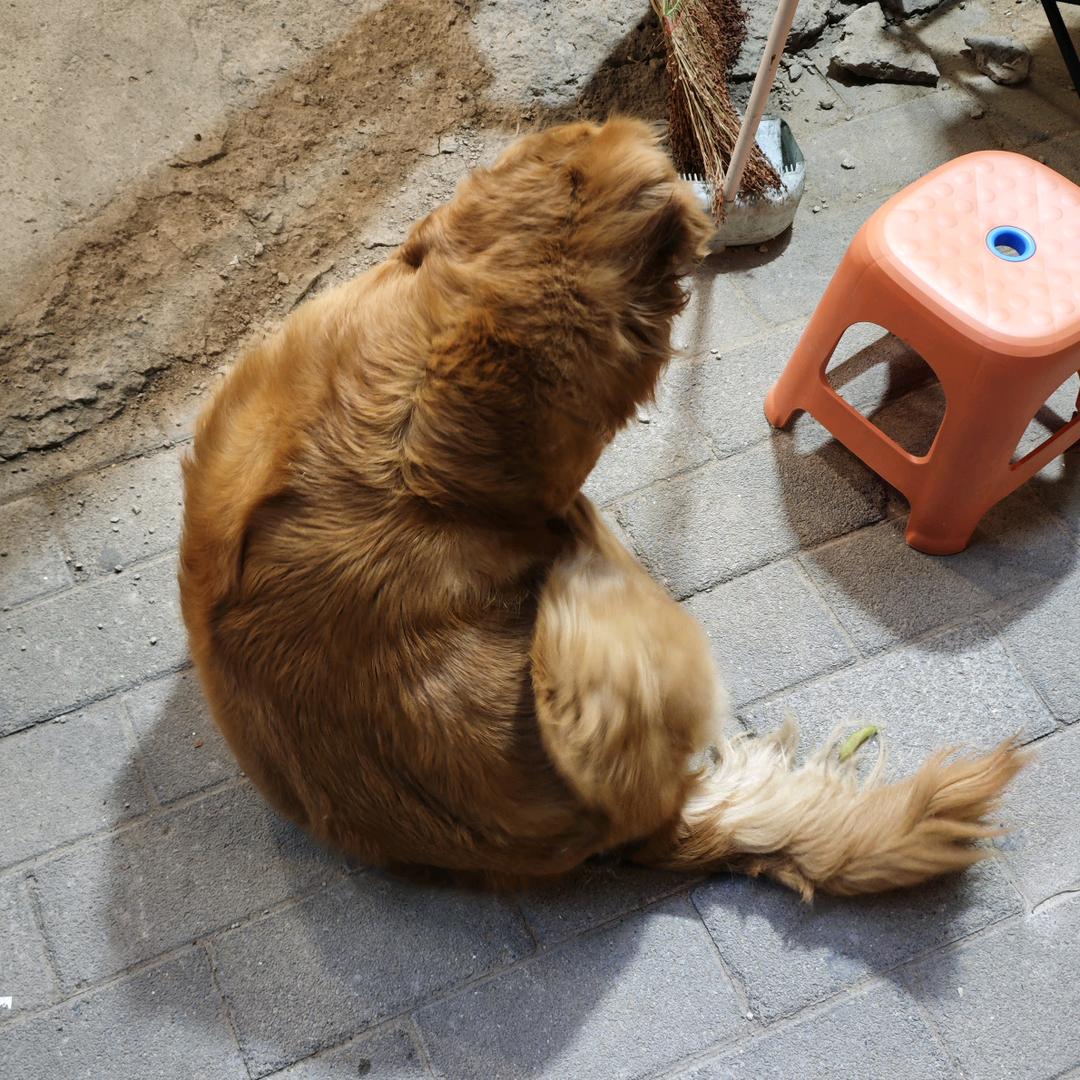 厂子好吃不