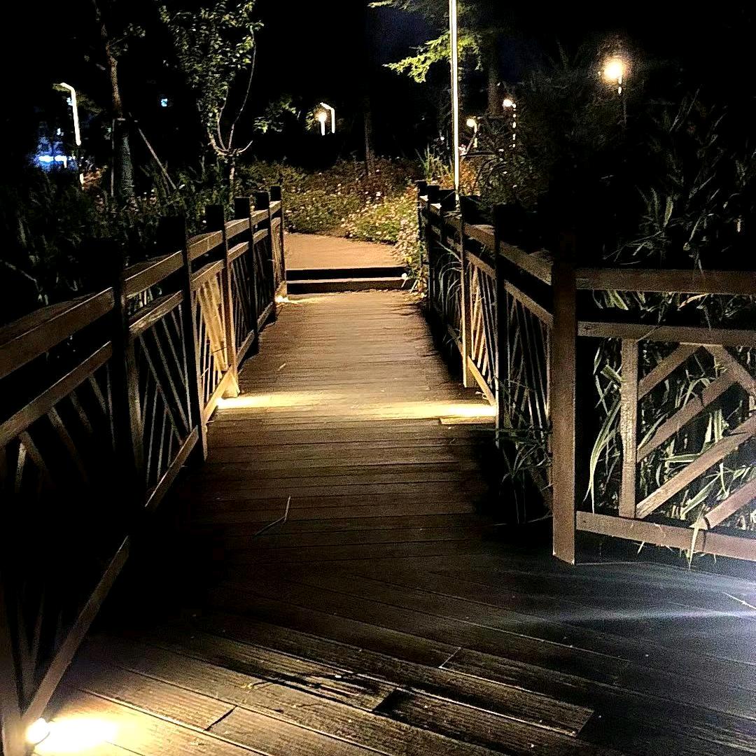 岁月如梭