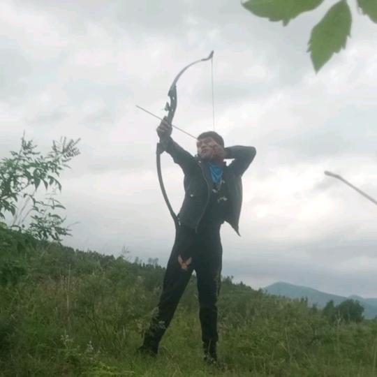 蓝魔花荣小李广