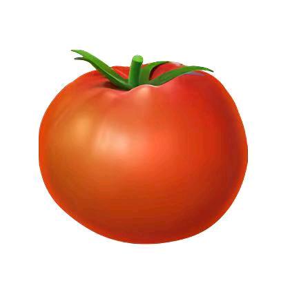 胡耳朵图图（一天见于适六次版）