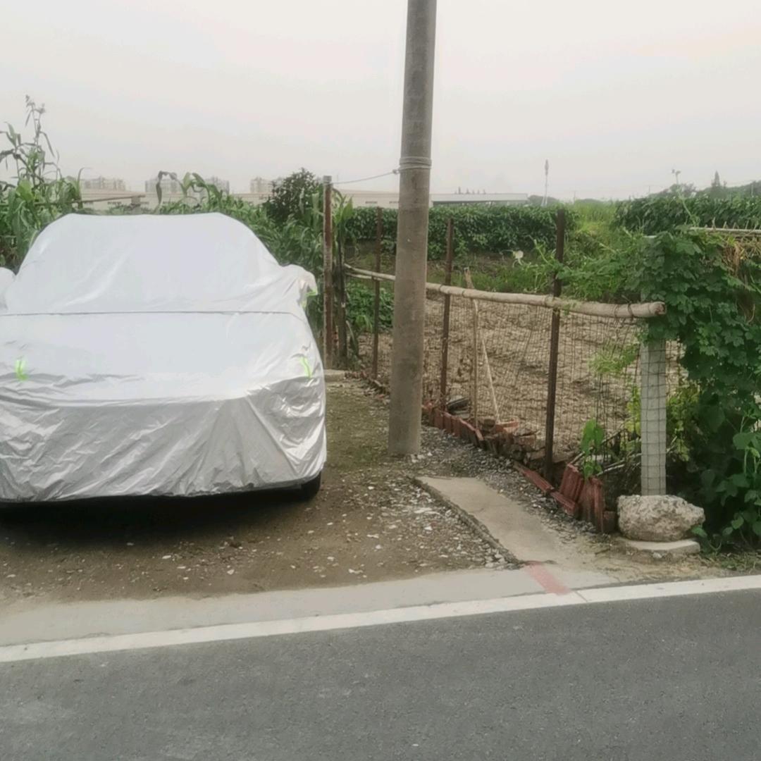 蓝色偶然