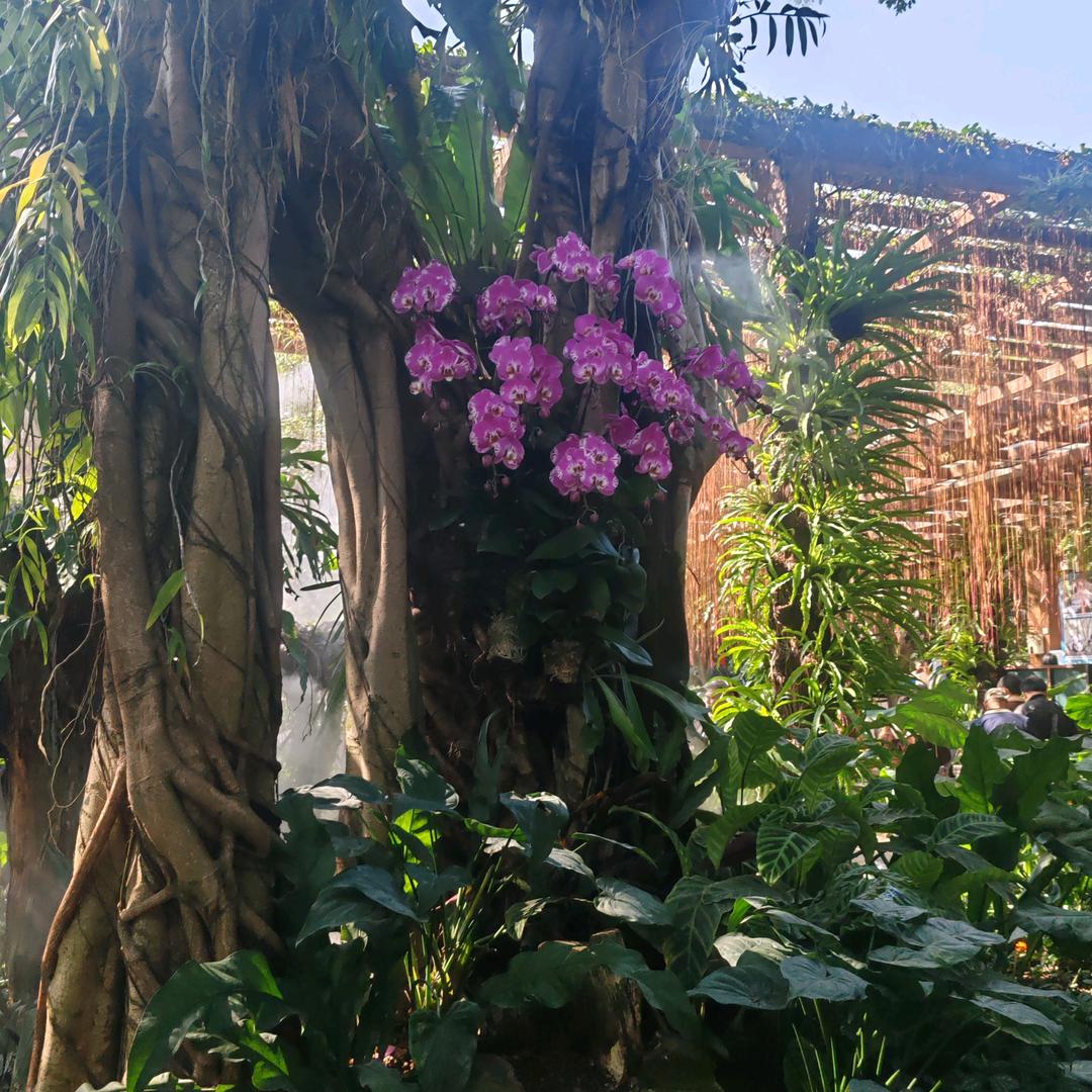 酒易醉❤️心易碎