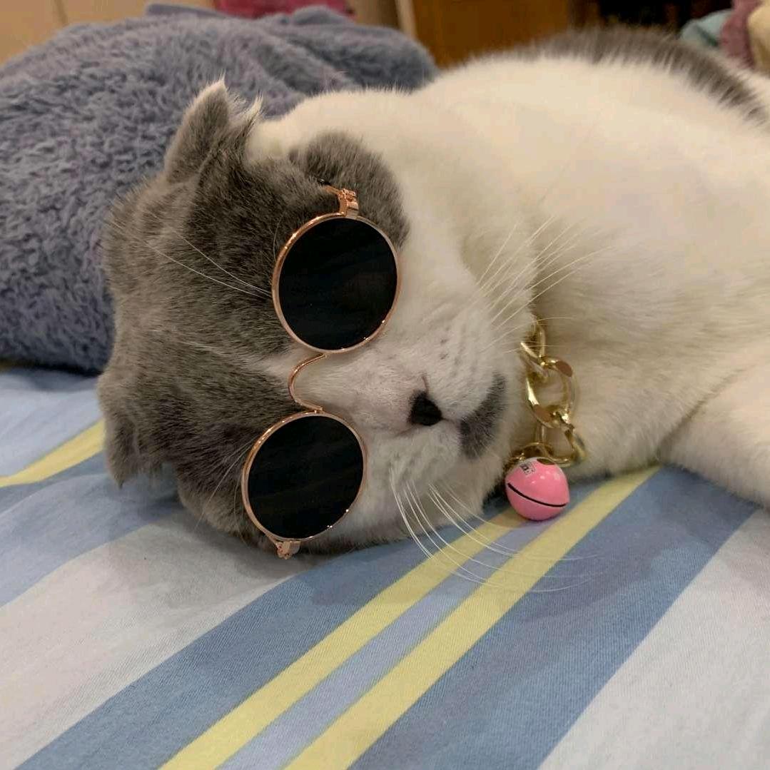 我不是镜神（主页看看实力）