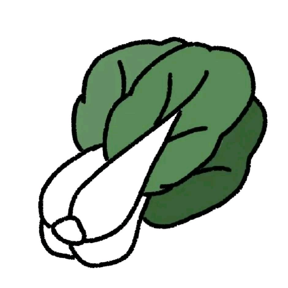 白菜