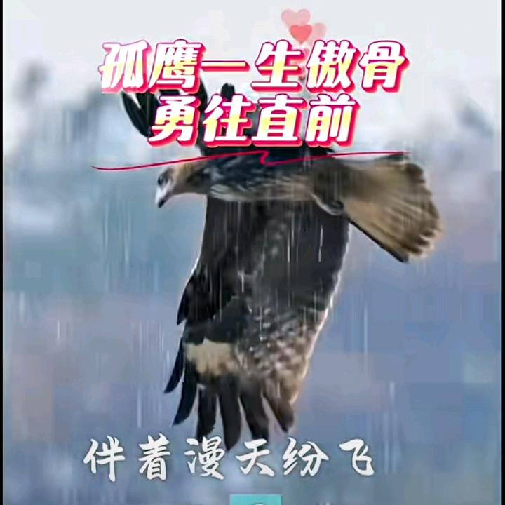 二姐