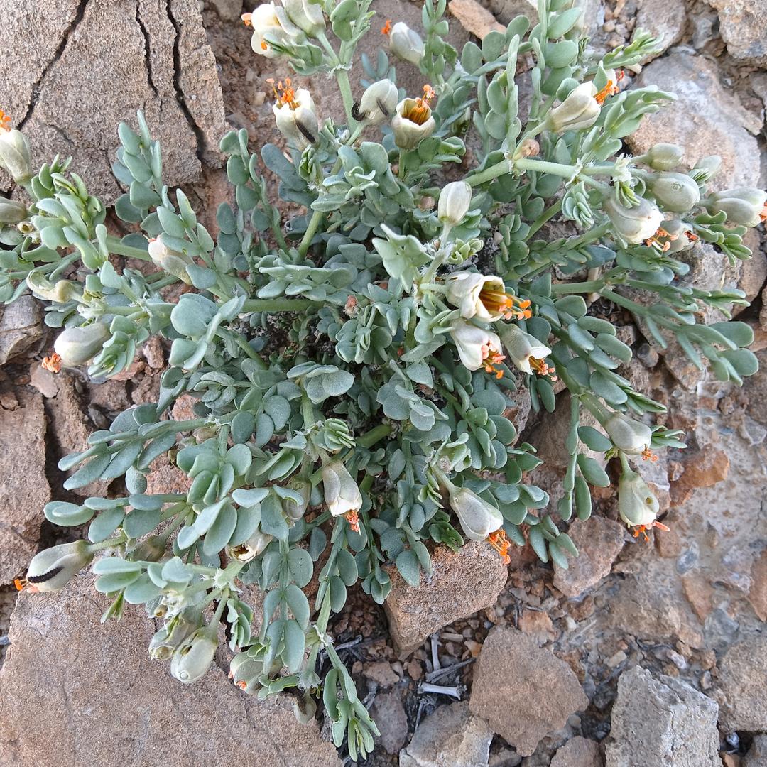 @生活得向往♞钢筋哥♬