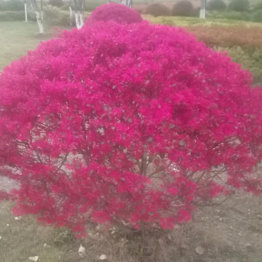 雨后彩虹