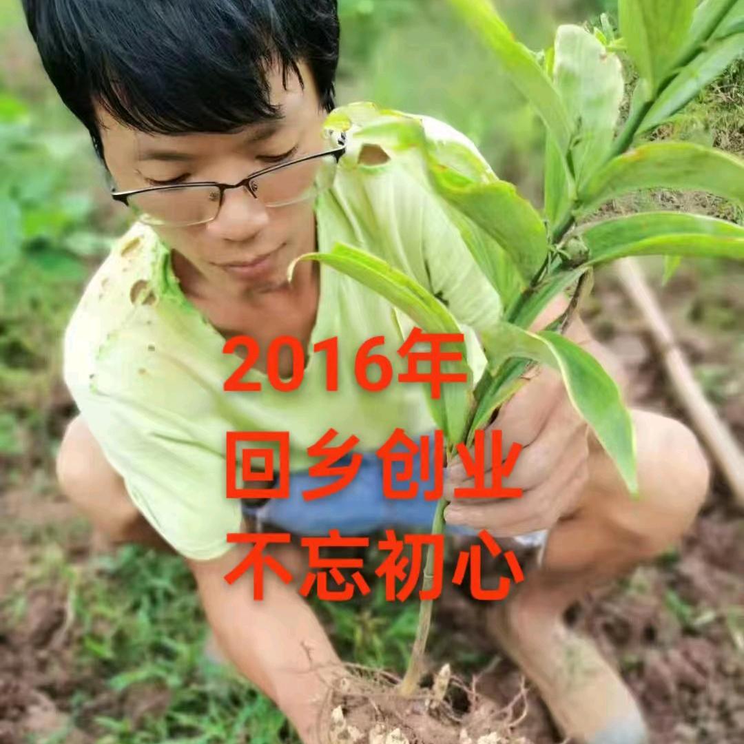 小周药材烘干