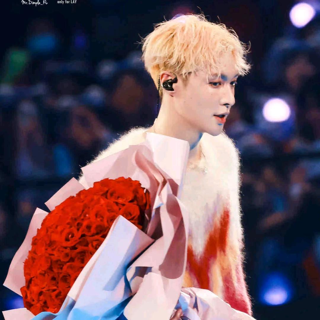 AAA奇迹大陆薯片批发商