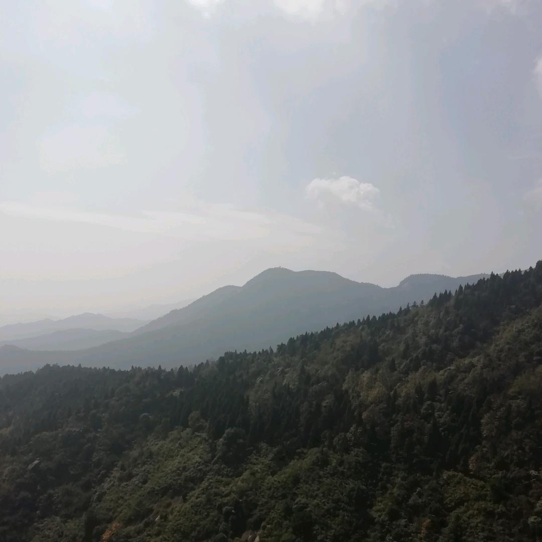 刘贤双
