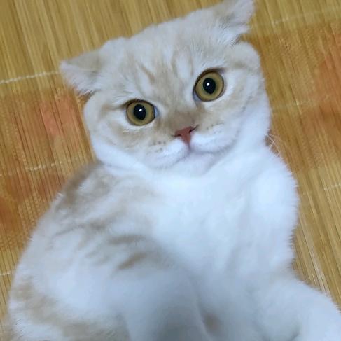 🥀₅²⁰💃顺理陈张¹ᶟ₁₄