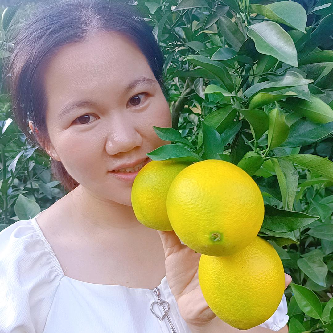 均丰果业