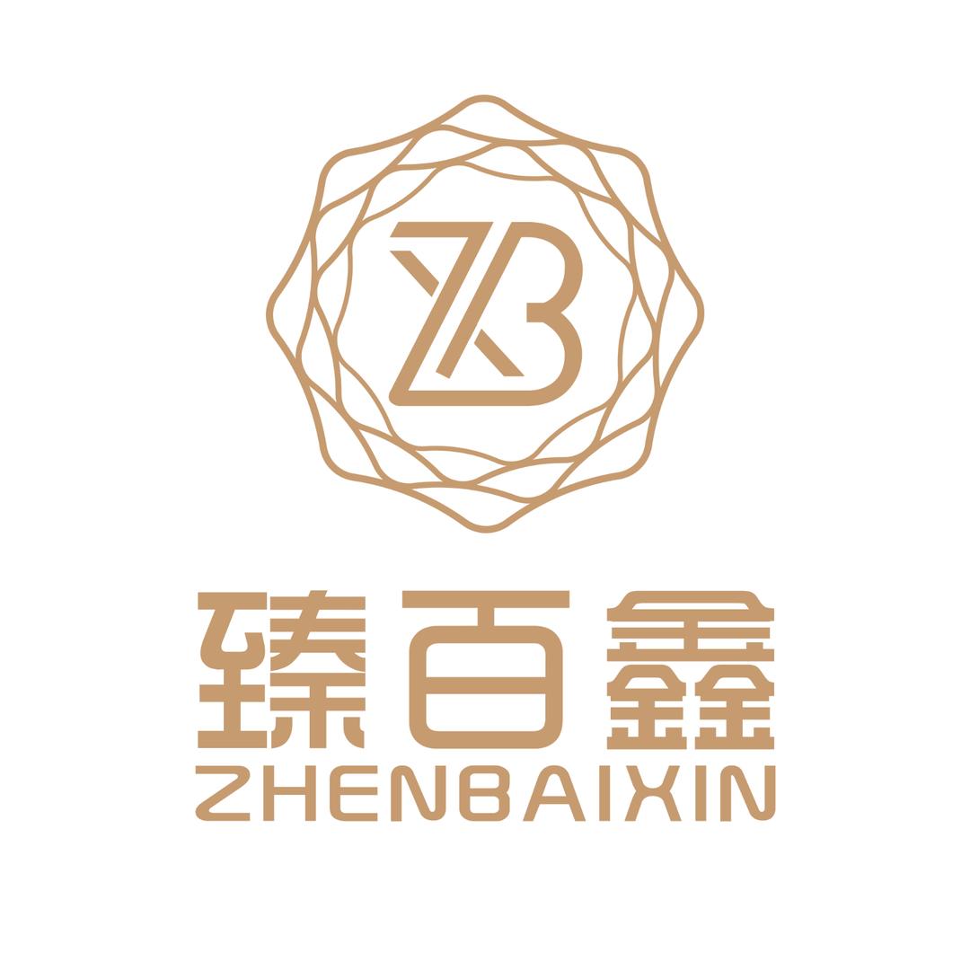 臻百鑫🔑宋书法✔️