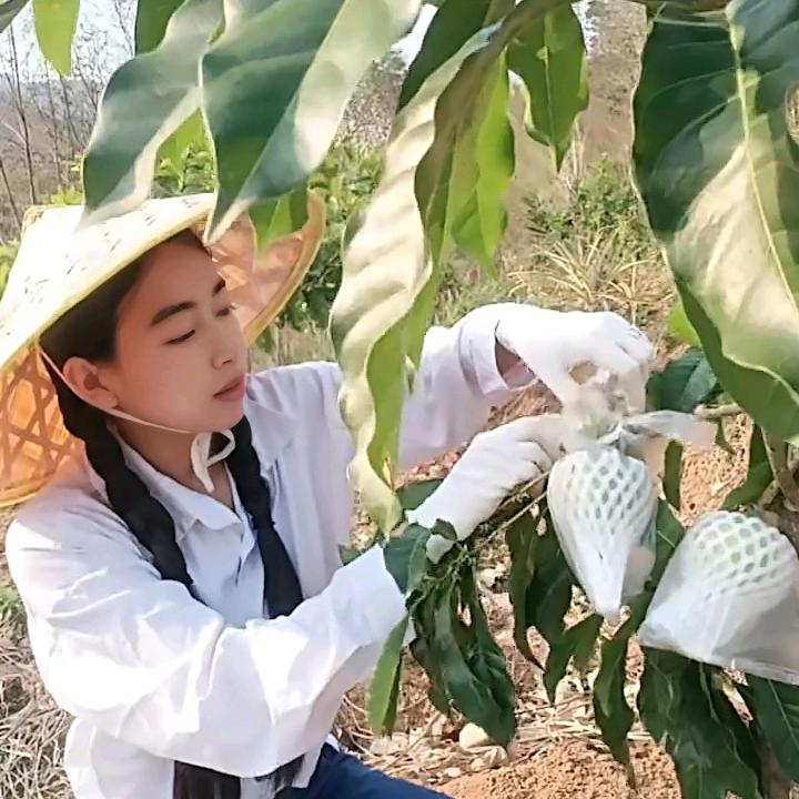 小宋姑凉🍃