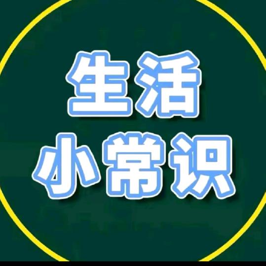 猫哥
