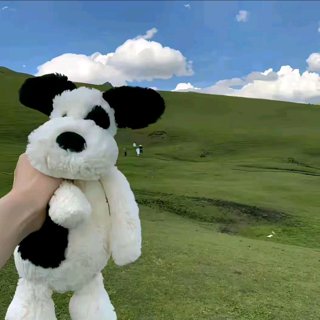 不要顺我打火机