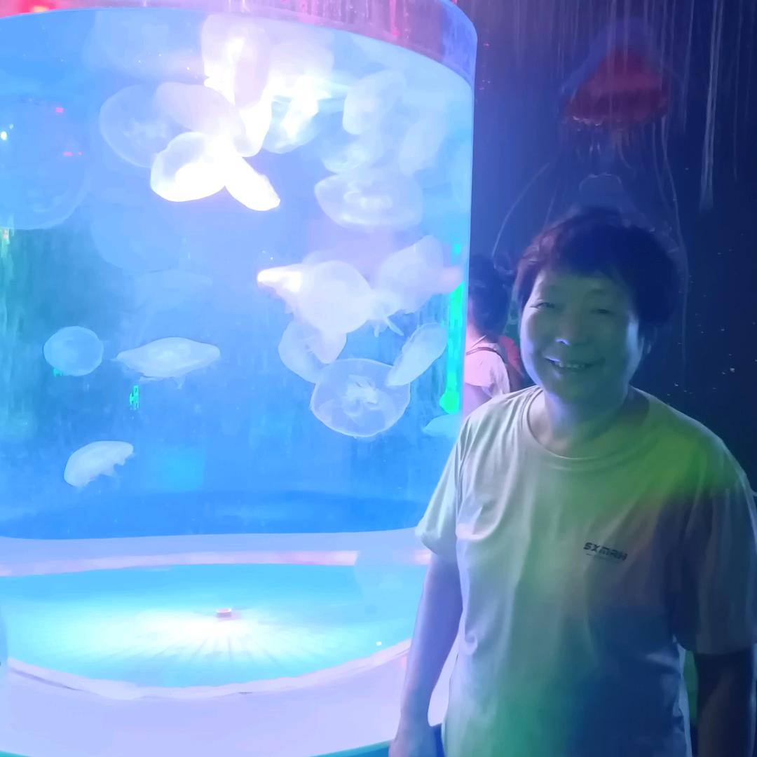绿豆粉皮