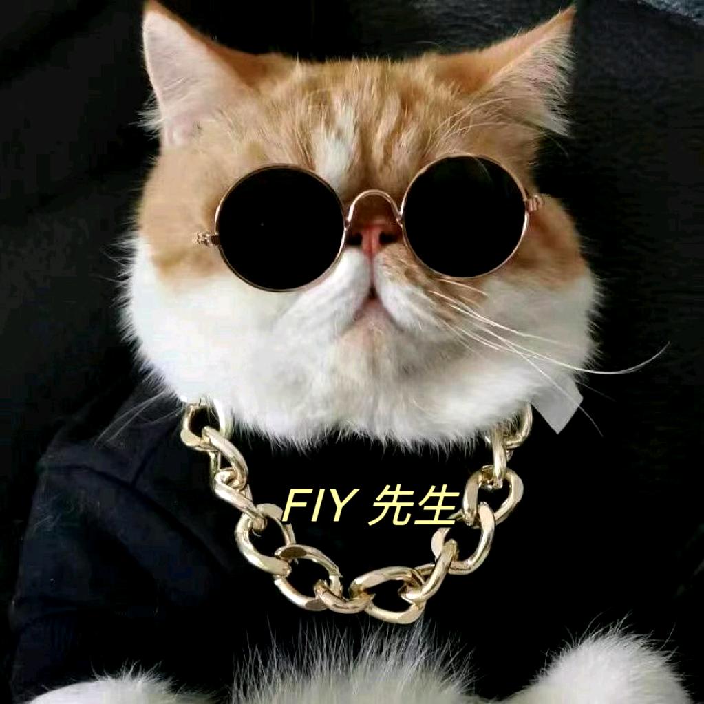 FIy先生