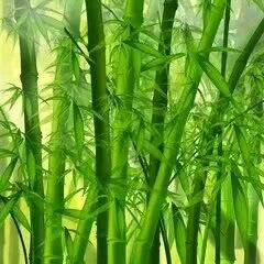 秋叶刘